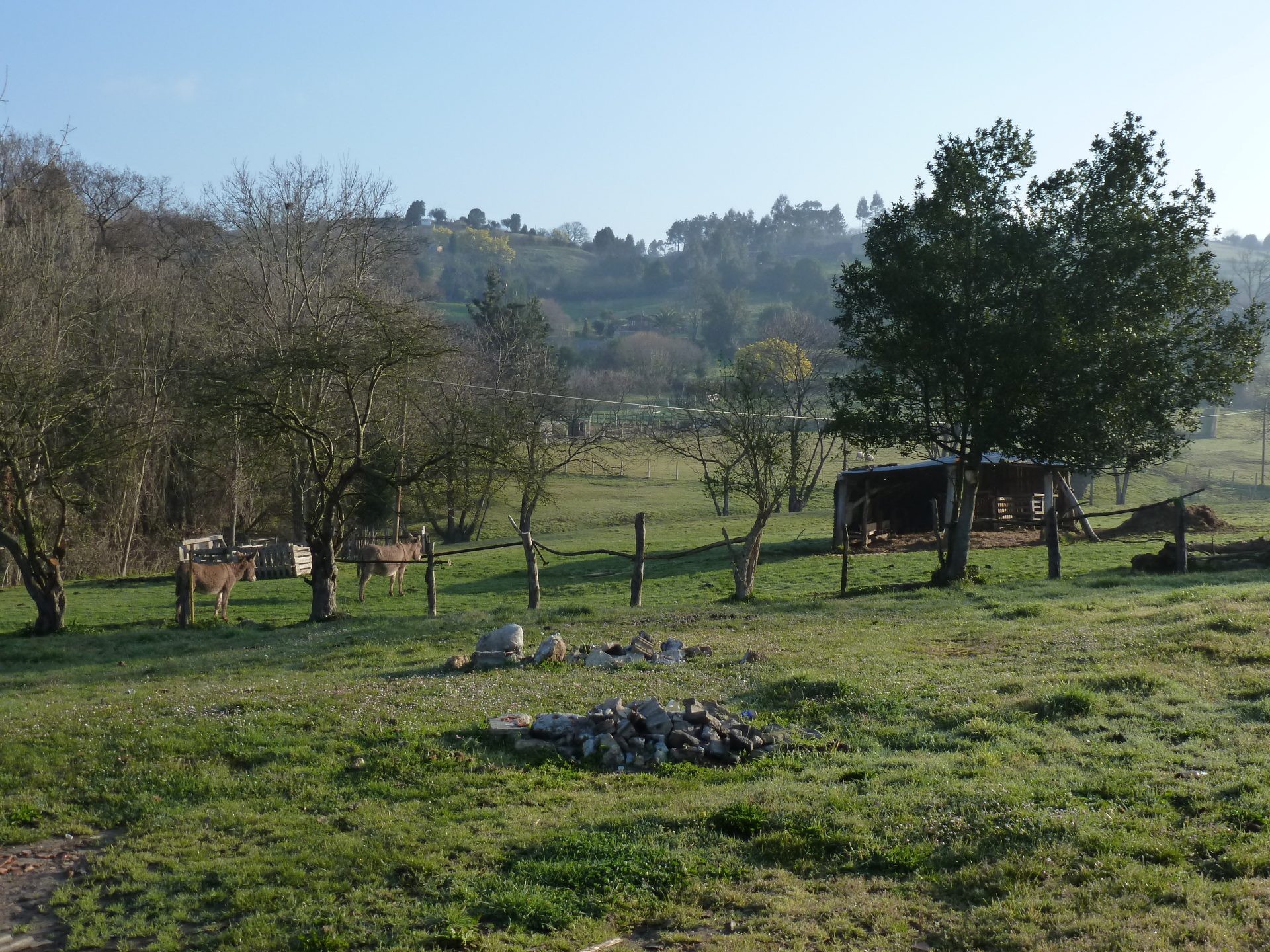 Escena bucólica con un campo de hierba, rocas dispersas y suaves pendientes. Árboles y una estructura de madera al fondo evocan tranquilidad.
